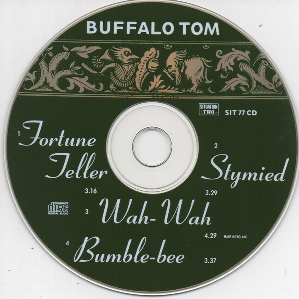 last ned album Buffalo Tom - Fortune Teller