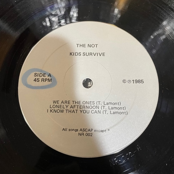 télécharger l'album The Not - Kids Survive