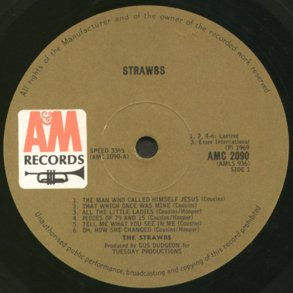 Fruit Slice Straw Charm – Midlands Vinyl