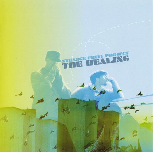Strange Fruit Project – The Healing (2006, CD) - Discogs