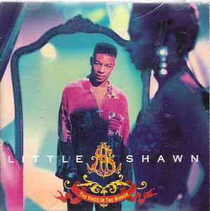 Little Shawn – The Voice In The Mirror (1992, CD) - Discogs