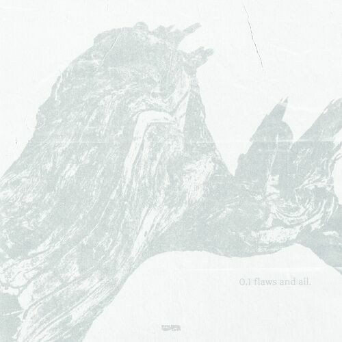Wave To Earth – 0.1 Flaws And All. (2023, Marble, Gatefold, Vinyl) - Discogs