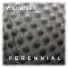 Volunteer (2) - Perennial
