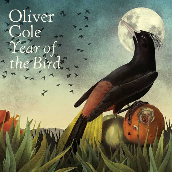 ladda ner album Oliver Cole - Year of the Bird