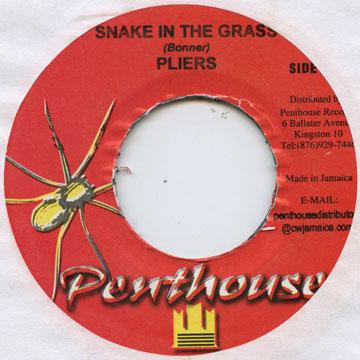 last ned album Pliers - Snake In The Grass
