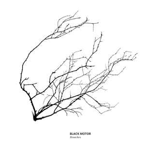 Black Motor - Branches album cover