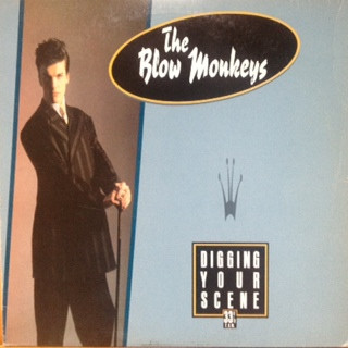 The Blow Monkeys - Digging Your Scene | Releases | Discogs