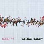 SCSI-9 - House Drop album cover