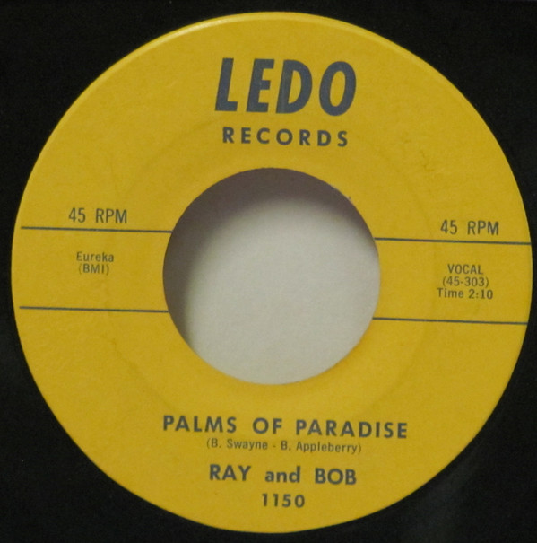 Album herunterladen Ray And Bob - Air Travel