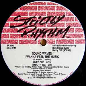 Sound Waves - I Wanna Feel The Music / Gotta Have You album cover