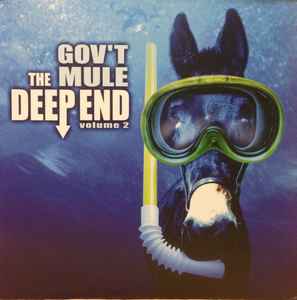 Gov't Mule - The Deep End Volume 2 album cover
