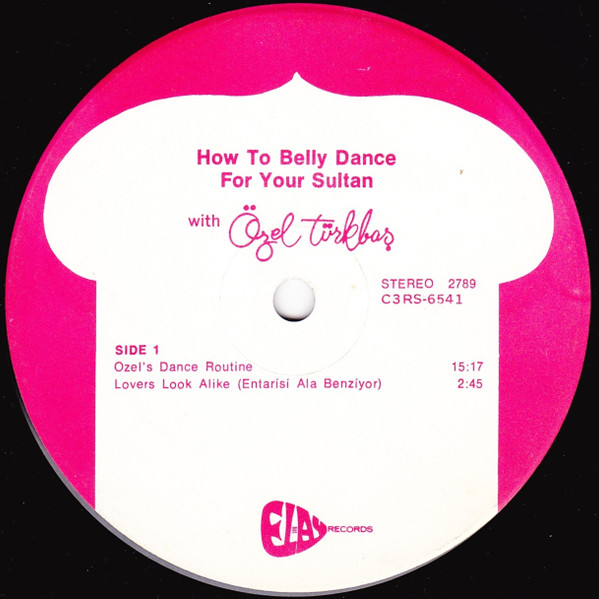 baixar álbum Özel Türkbas - How To Belly Dance For Your Sultan