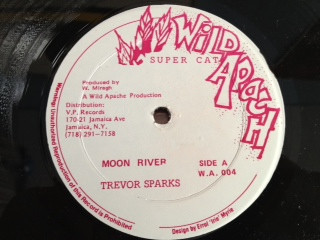 descargar álbum Trevor Sparks - Moon River