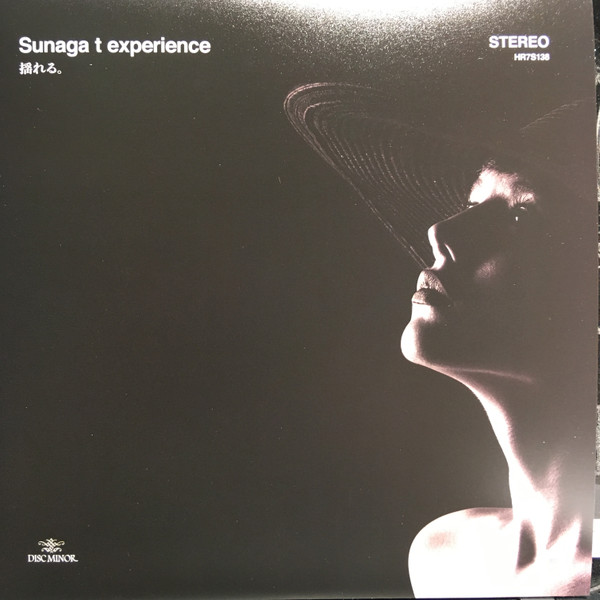 Sunaga t experience DIRTY30 12inchアナログ盤 - 邦楽