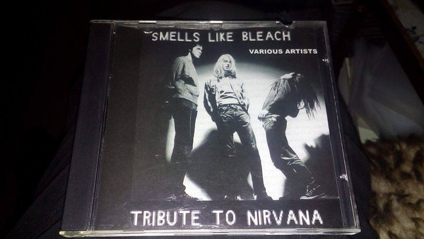 Punk N' Bleach – A Tribute To Nirvana (2020, Pink, Vinyl) - Discogs