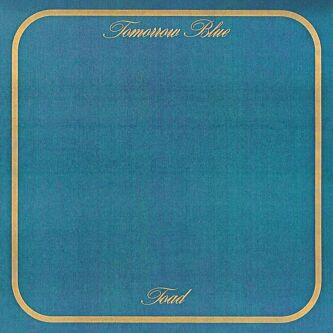 Toad – Tomorrow Blue (2000, Karmapack, CD) - Discogs