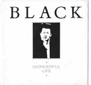 Black wonderful life codex seraphinianus 2013