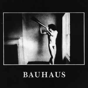 Bauhaus - In The Flat Field album cover