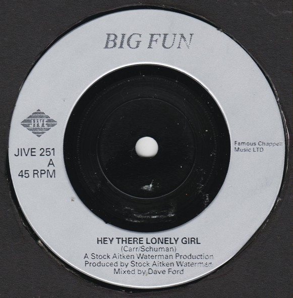 last ned album Big Fun - Hey There Lonely Girl