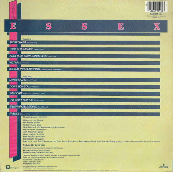 Album herunterladen David Essex - This Ones For You