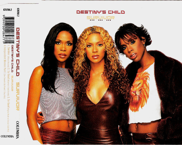 Destiny's Child – Survivor 2LP US盤 | www.thesheetalgroup.com