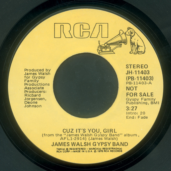James Walsh Gypsy Band – Cuz It's You, Girl (1978, Vinyl) - Discogs