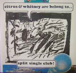Citrus – Sings In Melodydecorder (CD) - Discogs