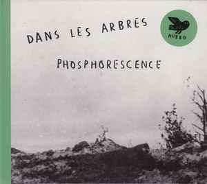 Phosphorescence - Dans Les Arbres