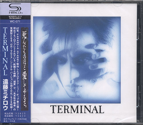 遠藤ミチロウ – Terminal (1987