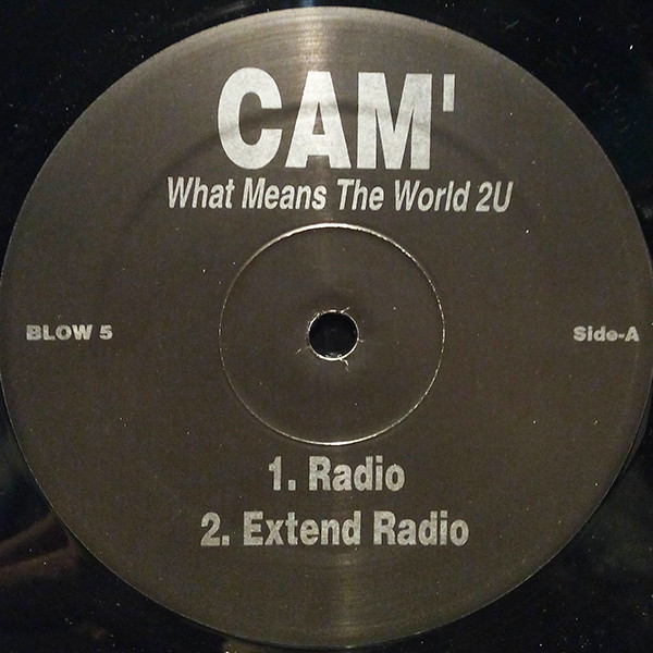 Cam'ron-What Means The World To You Rmx