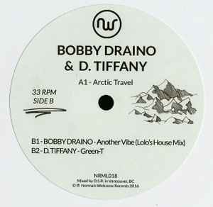 Bobby Draino - Arctic Travel album cover