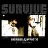 Dreamer (12) & Hypnotic (6) feat. RobGitarnik - Survive