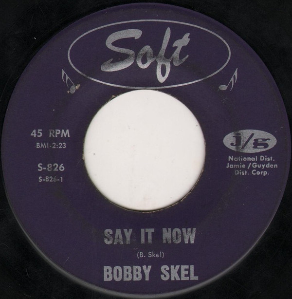 lataa albumi Download Bobby Skel - Say It Now album