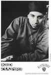 ladda ner album Kid Capri - 1231991