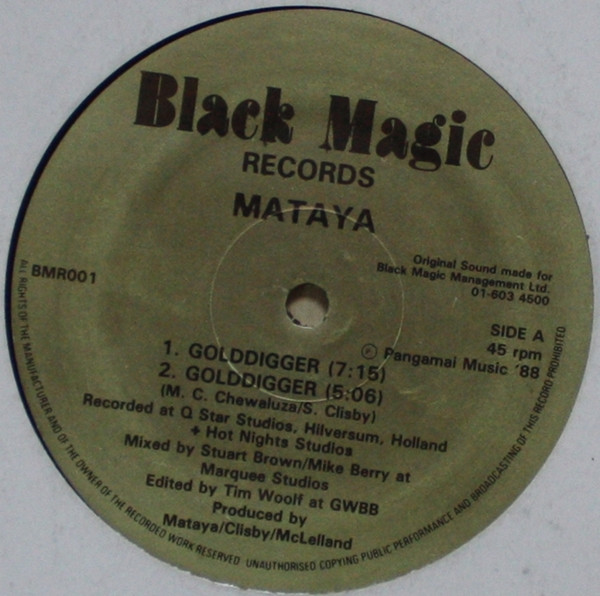 descargar álbum Mataya - Golddigger