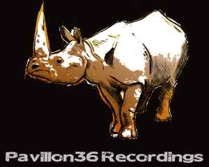 Pavillon36 Recordings on Discogs
