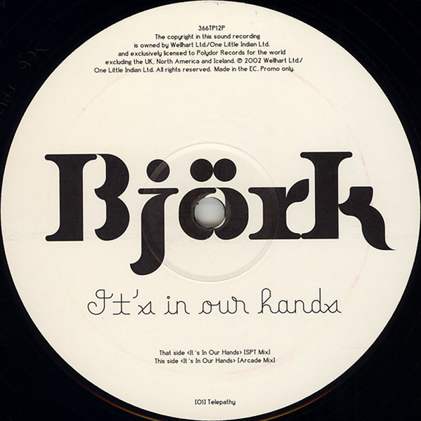 Björk - It's In Our Hands | Releases | Discogs