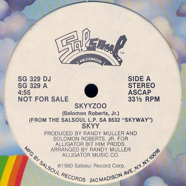 Skyy – Skyyzoo (1980, Vinyl) - Discogs