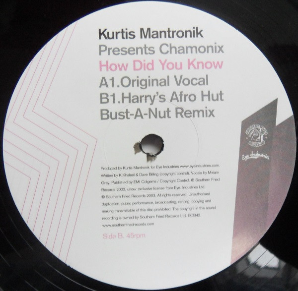 lataa albumi Kurtis Mantronik Presents Chamonix - How Did You Know