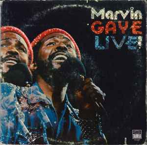 Marvin Gaye ‎– Every Great Motown Hit Of Marvin Gaye (1983) Vinyl, LP,  Compilation – Voluptuous Vinyl Records