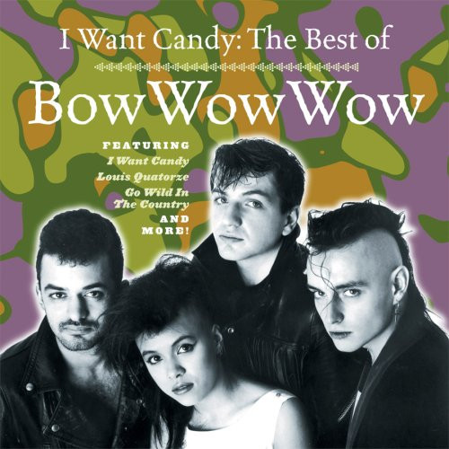 One Hit Wonder. Lyrics poster. I Want Candy- Bow Wow Wow