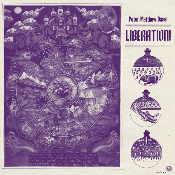 descargar álbum Peter Matthew Bauer - Liberation