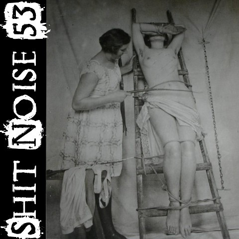 baixar álbum Various - Shit Noise 53