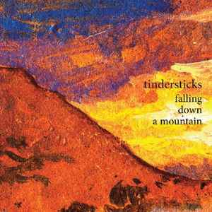 Falling Down A Mountain - Tindersticks