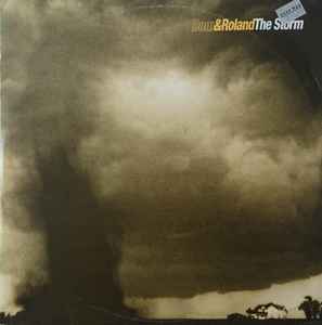 Dom & Roland - Storm / Sonic Shock album cover