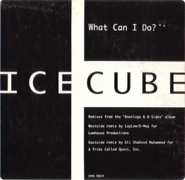 Ice Cube What Can I Do 1994 Vinyl Discogs