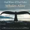Paul Winter (2) / Paul Halley, Leonard Nimoy - Whales Alive