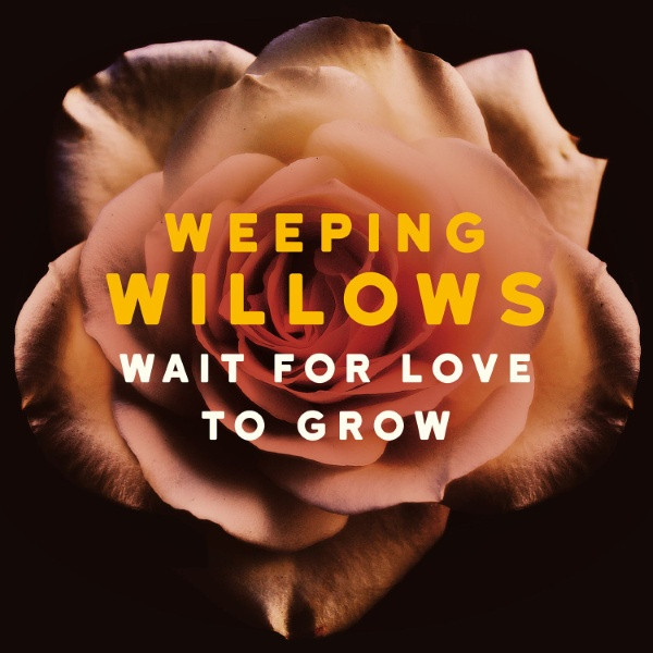 last ned album Weeping Willows - Wait For Love To Grow