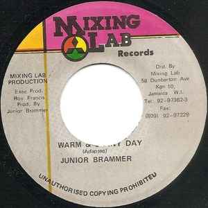 Junior Brammer - Warm & Sunny Day album cover