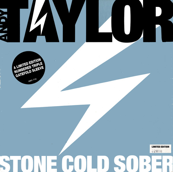 descargar álbum Download Andy Taylor - Stone Cold Sober album